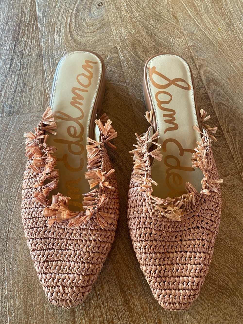 Raffia Woven Sam Edelman “Reeta” Mules
